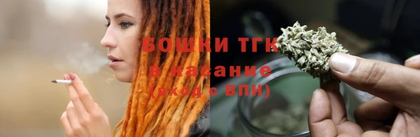 шишки Липки