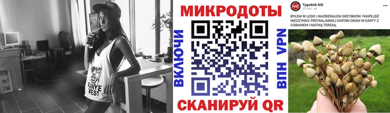 Галлюциногенные грибы мухоморы  Октябрьский 