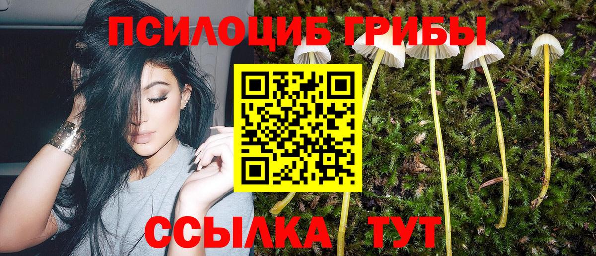 Галлюциногенные грибы ЛСД Октябрьский