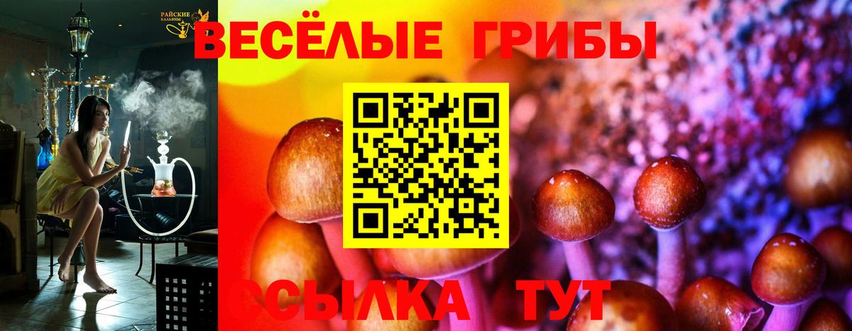 Галлюциногенные грибы прущие грибы  Октябрьский  Псилоцибиновые грибы MAGIC MUSHROOMS 