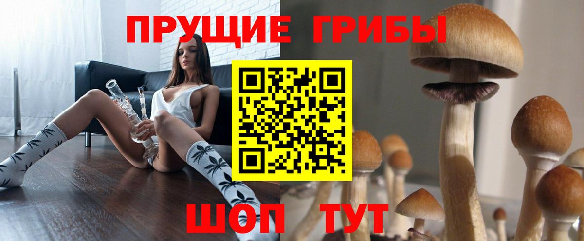 купить   Вход с VPN  Галлюциногенные грибы Psilocybe  Октябрьский  Псилоцибиновые грибы ЛСД 